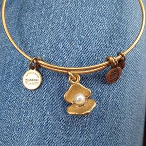 Alex and Ani Gold Charm Bracelet with Baseball Glove